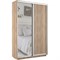 Шкаф-купе Экспресс (Зеркало, ЛДСП) 120/240/45 Ш1102