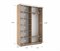 Шкаф-купе Экспресс (Зеркало, ЛДСП) 140/220/45 Ш1103