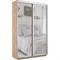 Шкаф-купе Экспресс (Зеркало) 160/220/45 Ш1205
