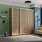 Шкаф-купе Экспресс (ЛДСП) 210/220/60 Ш1503