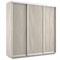Шкаф-купе Экспресс (ЛДСП) 240/220/60 Ш1505