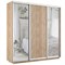 Шкаф-купе Экспресс (Зеркало-2, ЛДСП) 180/220/60 Ш1701