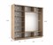 Шкаф-купе Экспресс (Зеркало) 210/220/60 Ш1803