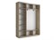 Шкаф-купе Экспресс (ЛДСП) 210/240/45 Ш1654