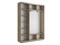 Шкаф-купе Экспресс (Зеркало-2, ЛДСП) 210/220/45 Ш1853