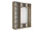 Шкаф-купе Экспресс (Зеркало) 210/220/45 Ш1953