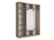 Шкаф-купе Экспресс (Зеркало) 240/240/45 Ш1956