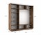 Шкаф-купе Лофт (Зеркало, ЛДСП) 210/220/60 Ш2153
