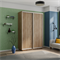Шкаф-купе Экспресс (ЛДСП) 120/220/60 Ш1001