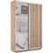 Шкаф-купе Экспресс (Зеркало, ЛДСП) 120/220/45 Ш1101