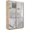 Шкаф-купе Экспресс (Зеркало) 160/240/45 Ш1206