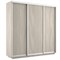 Шкаф-купе Экспресс (ЛДСП) 240/240/60 Ш1506