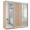 Шкаф-купе Экспресс (Зеркало-2, ЛДСП) 210/220/60 Ш1703