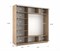 Шкаф-купе Экспресс (Зеркало-2, ЛДСП) 210/220/60 Ш1703