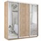 Шкаф-купе Экспресс (Зеркало-2, ЛДСП) 240/220/60 Ш1705