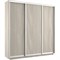Шкаф-купе Экспресс (ЛДСП) 240/220/45 Ш1655
