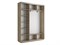 Шкаф-купе Экспресс (Зеркало, ЛДСП) 210/220/45 Ш1753