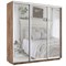 Шкаф-купе Лофт (Зеркало) 210/220/60 Ш2553
