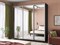 Шкаф-купе Лофт (Зеркало) 240/220/60 Ш2555