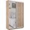 Шкаф-купе Экспресс (Зеркало, ЛДСП) 120/240/45 Ш1102