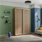 Шкаф-купе Экспресс (ЛДСП) 120/240/60 Ш1002