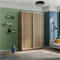Шкаф-купе Экспресс (ЛДСП) 160/240/60 Ш1006