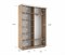 Шкаф-купе Экспресс (Зеркало, ЛДСП) 160/220/45 Ш1105