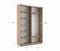 Шкаф-купе Экспресс (Зеркало) 120/240/45 Ш1202