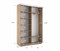 Шкаф-купе Экспресс (Зеркало) 160/220/45 Ш1205