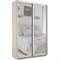 Шкаф-купе Экспресс (Зеркало) 160/220/45 Ш1205