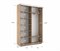 Шкаф-купе Экспресс (Зеркало) 160/240/45 Ш1206
