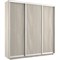 Шкаф-купе Экспресс (ЛДСП) 210/240/45 Ш1654