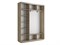 Шкаф-купе Экспресс (Зеркало, ЛДСП) 210/240/45 Ш1754
