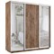 Шкаф-купе Лофт (Зеркало-2, ЛДСП) 210/240/60 Ш2254