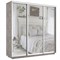 Шкаф-купе Лофт (Зеркало) 180/240/60 Ш2552