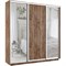 Шкаф-купе Лофт (Зеркало-2, ЛДСП) 180/220/45 Ш2651