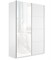 Шкаф-купе Прайм (Стекло Белое / ЛДСП) 160/230/57 П1018